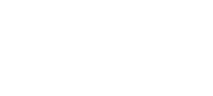 Allies Aotearoa Logo in white